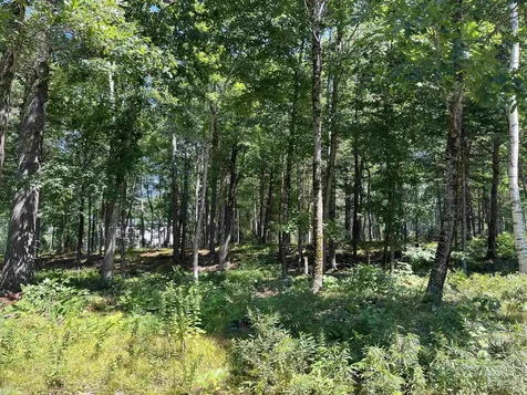 41 Winchester Lane Tuftonboro NH 03816