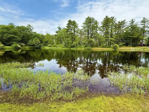 41 Winchester Lane Tuftonboro NH 03816