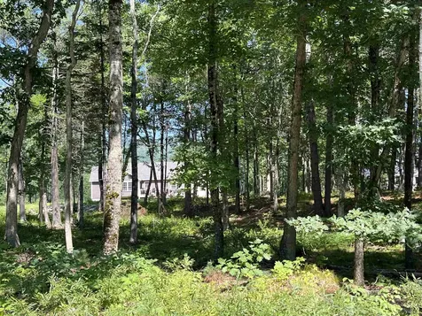 41 Winchester Lane Tuftonboro NH 03816