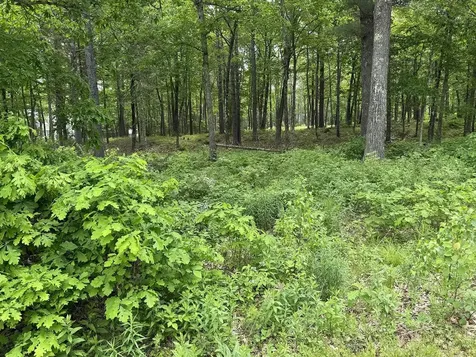 41 Winchester Lane Tuftonboro NH 03816