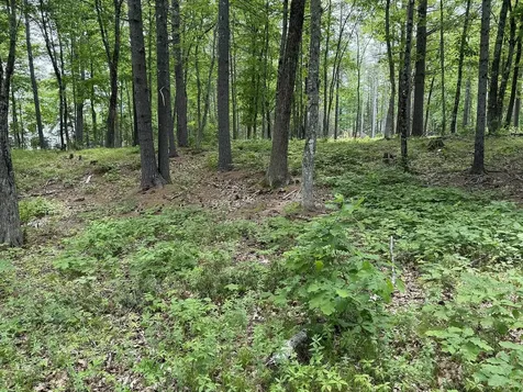 41 Winchester Lane Tuftonboro NH 03816