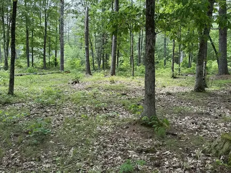 41 Winchester Lane Tuftonboro NH 03816