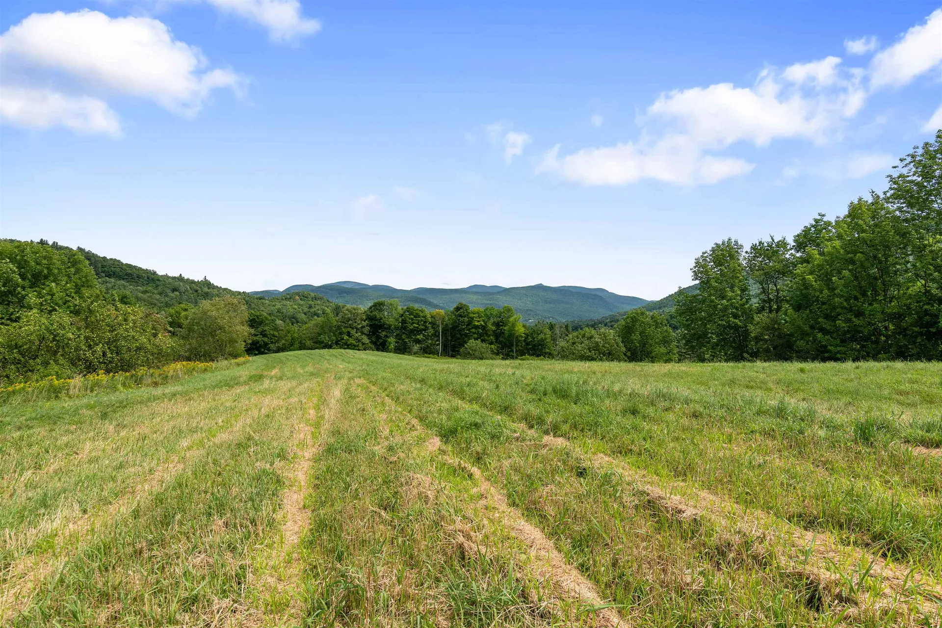 1500 Dugway Road Richmond VT 05477