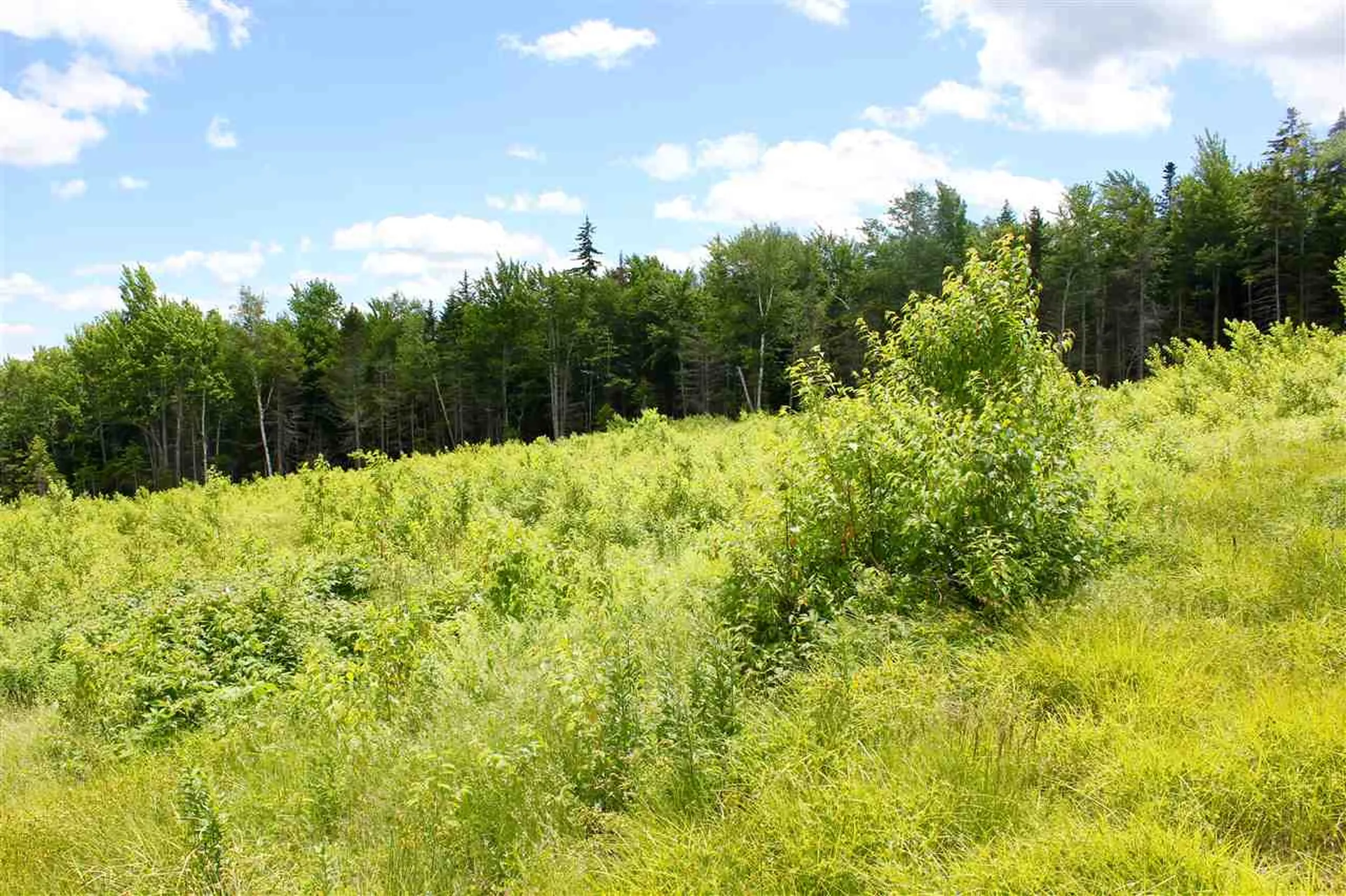 Valley View Drive Andover VT 05143