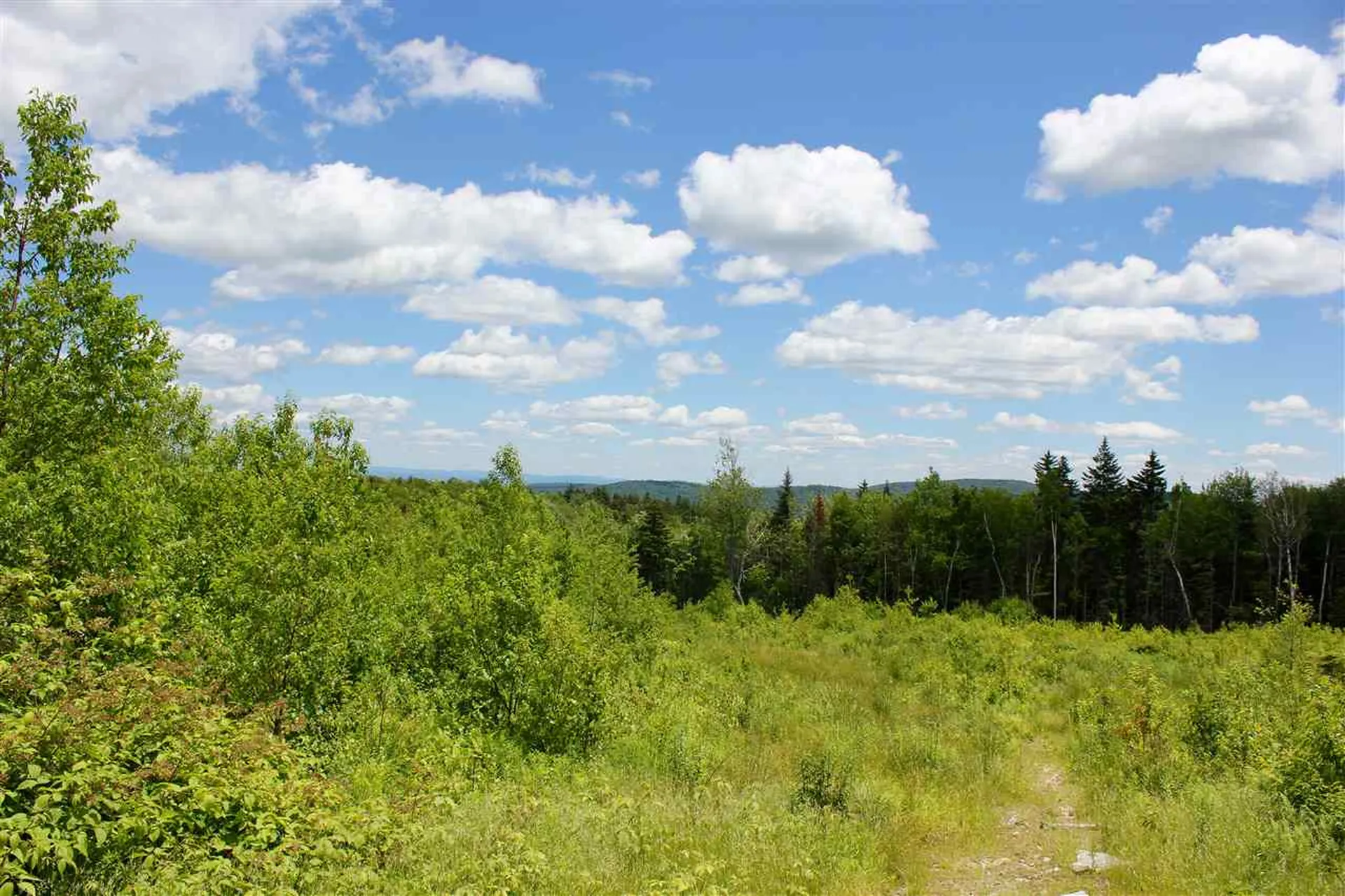 Valley View Drive Andover VT 05143