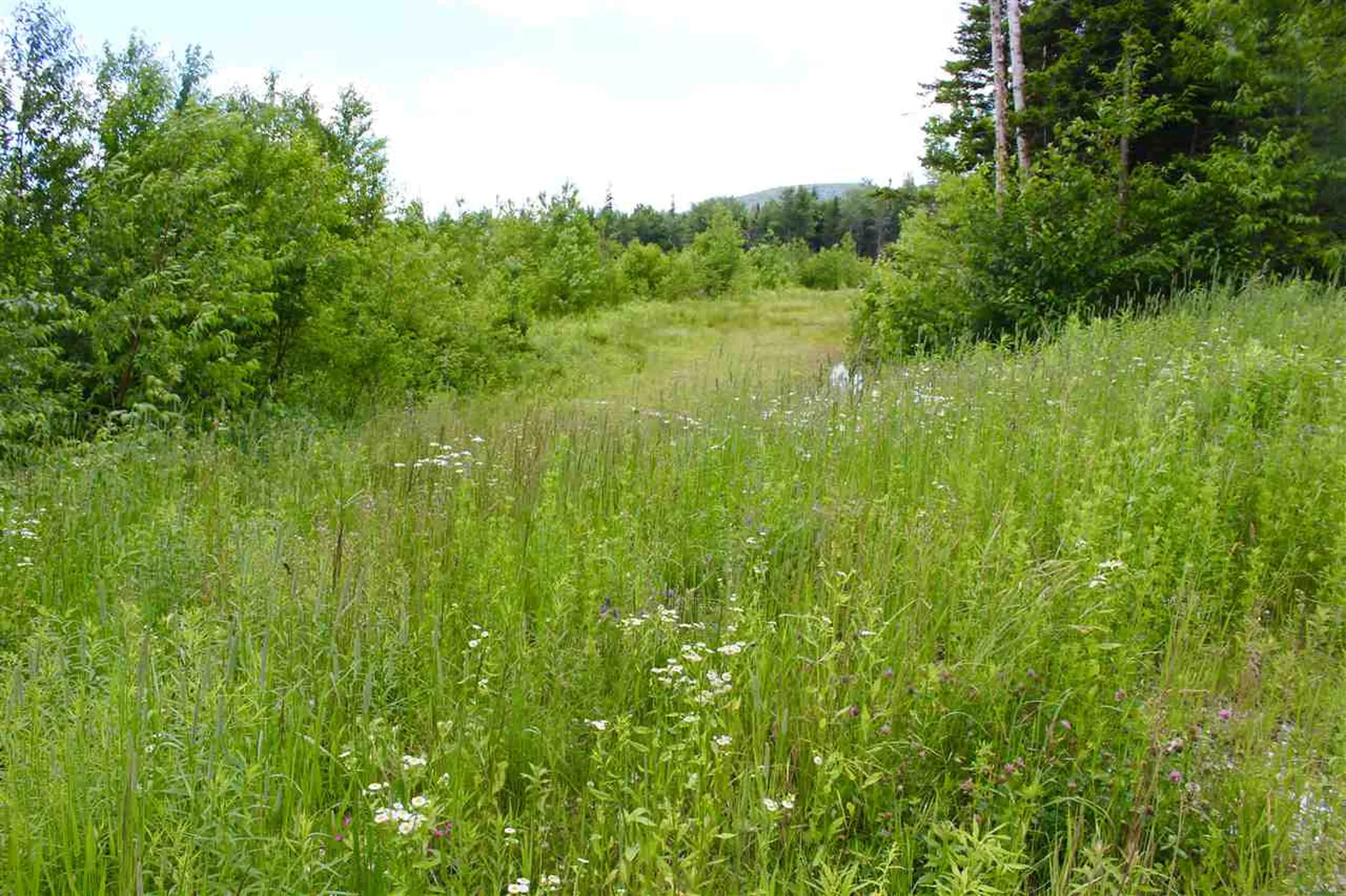 Valley View Drive Andover VT 05143