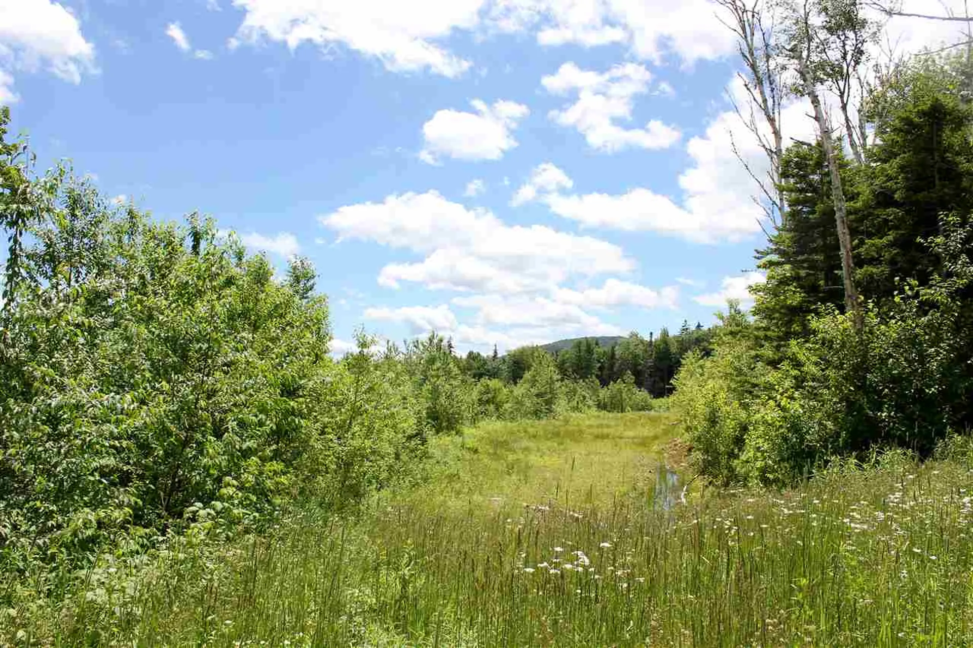 Valley View Drive Andover VT 05143