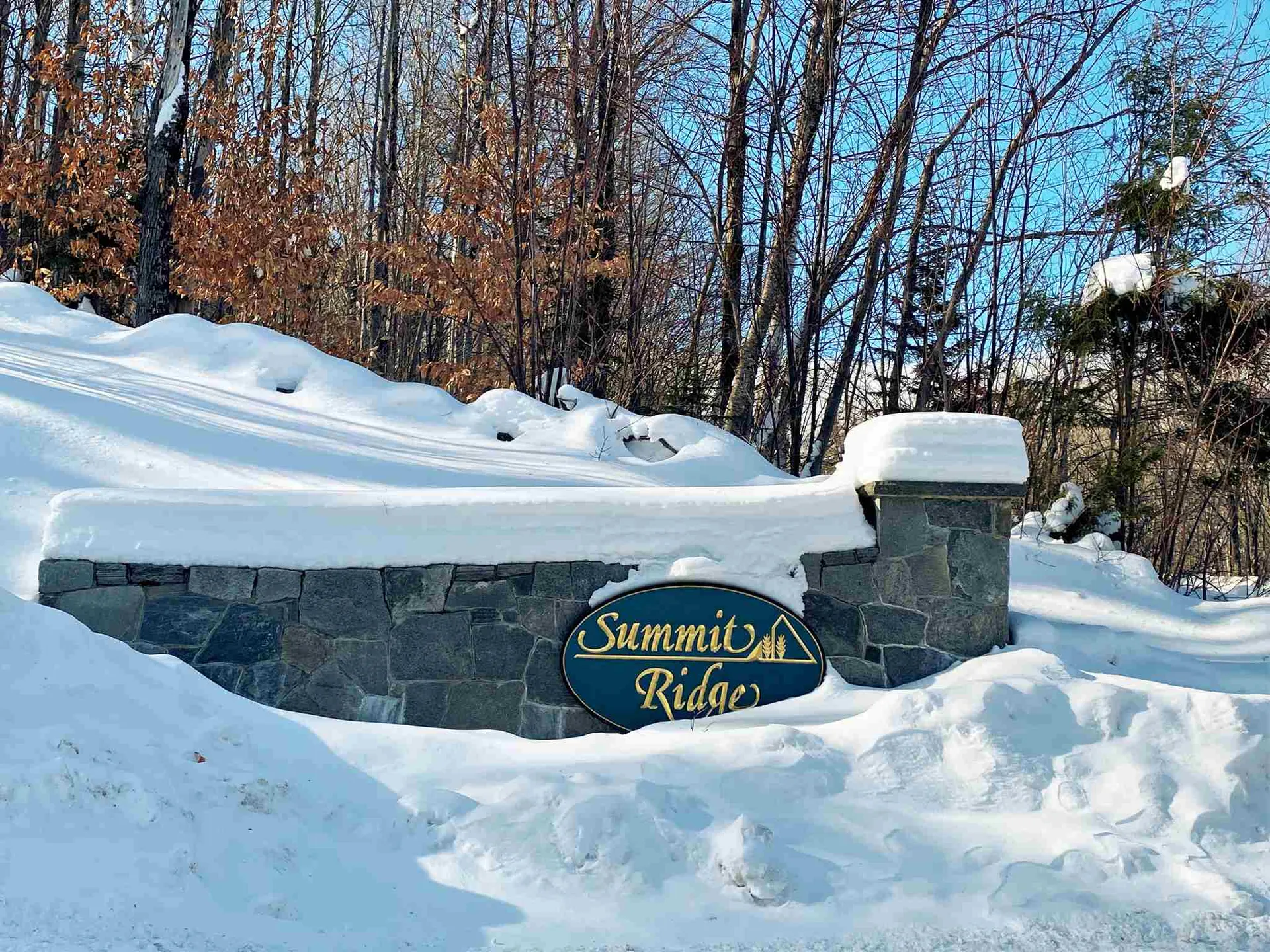 Valley View Drive Andover VT 05143