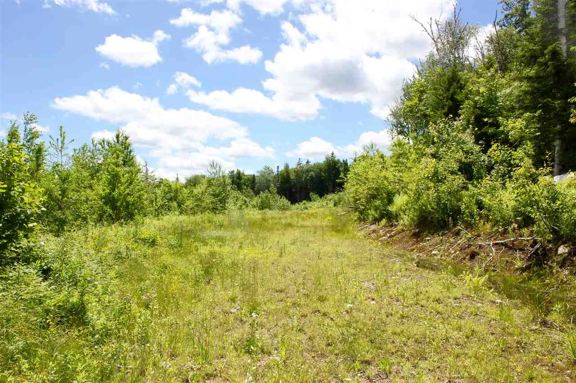 Valley View Drive Andover VT 05143