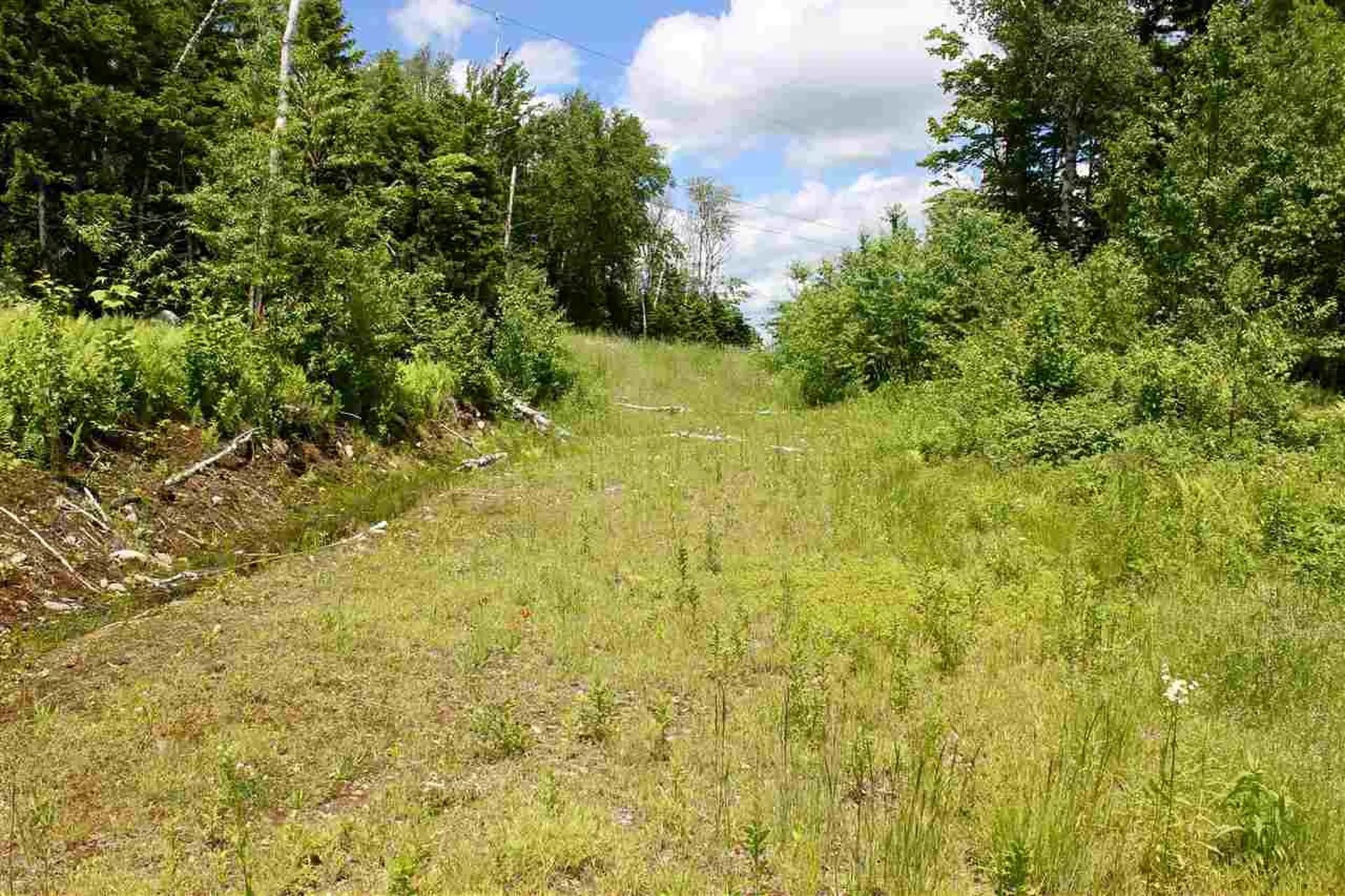 Valley View Drive Andover VT 05143