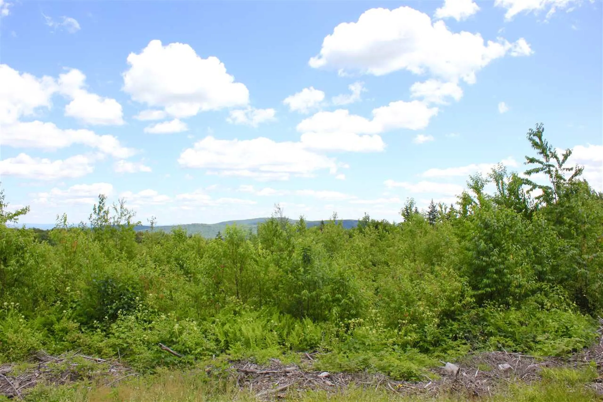 Valley View Drive Andover VT 05143