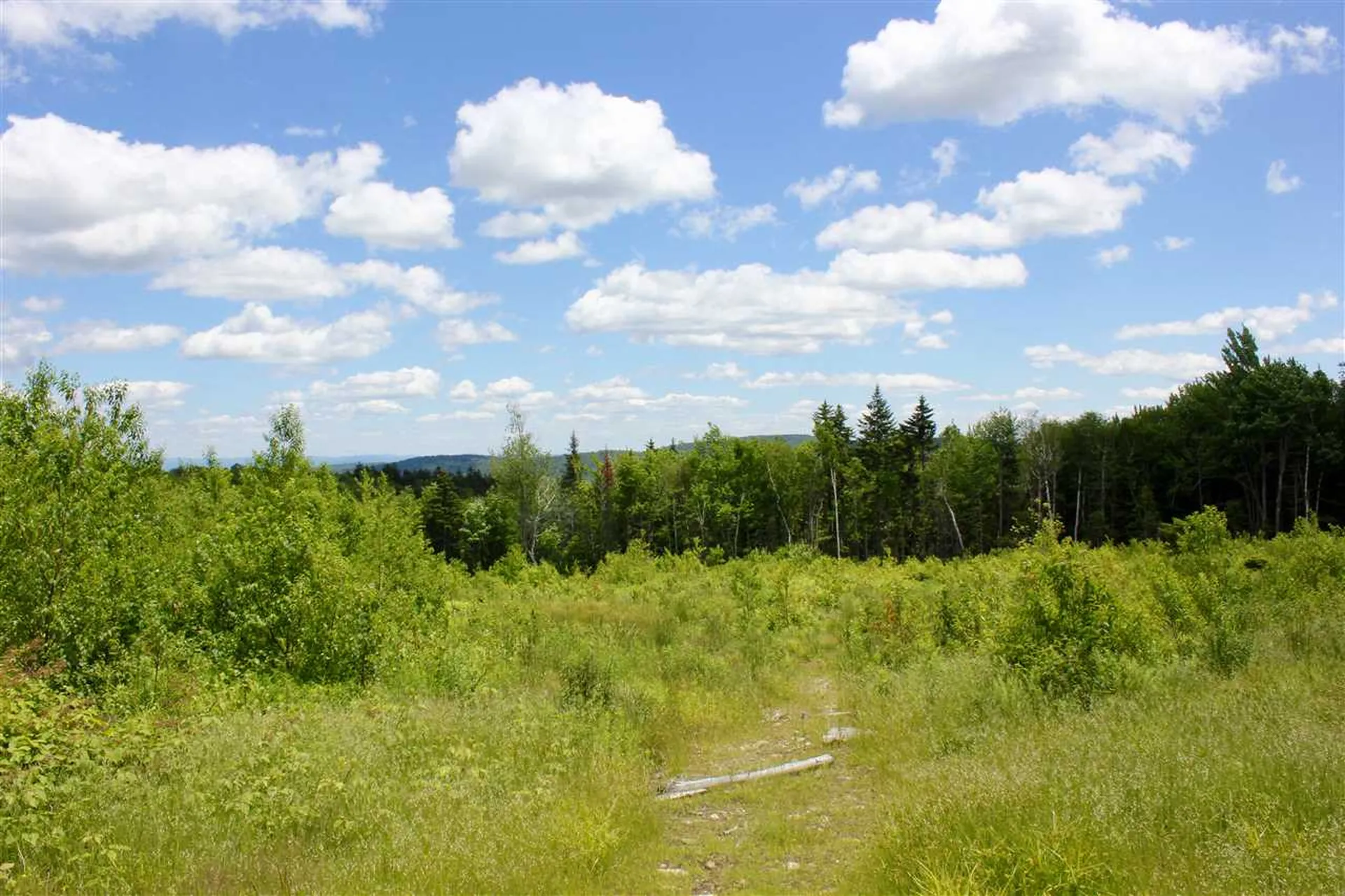 Valley View Drive Andover VT 05143