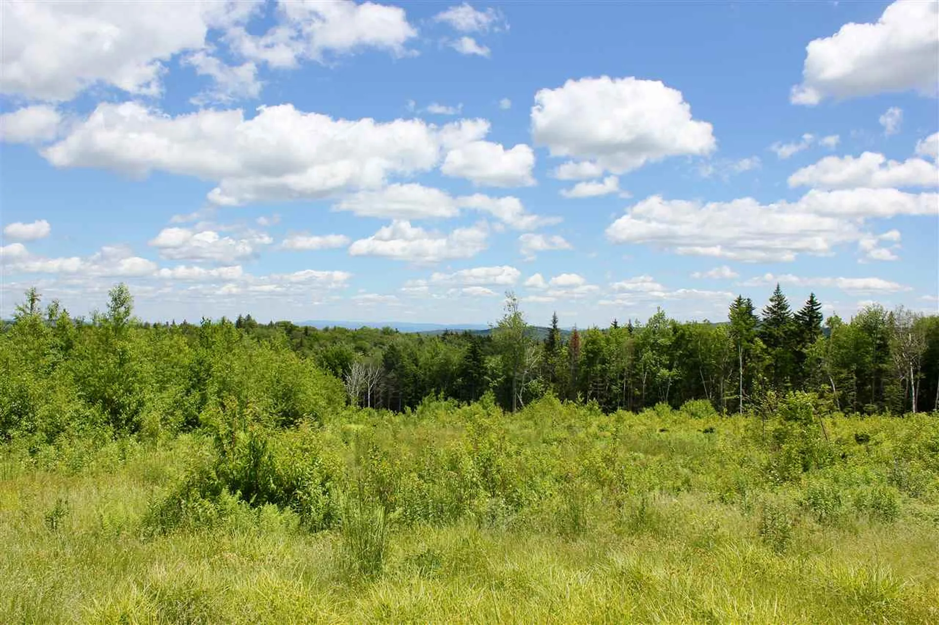 Valley View Drive Andover VT 05143