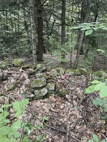 Lot 90 Mine Ledge Road Surry NH 03431