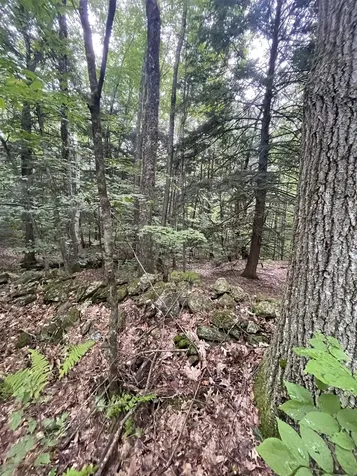 Lot 90 Mine Ledge Road Surry NH 03431