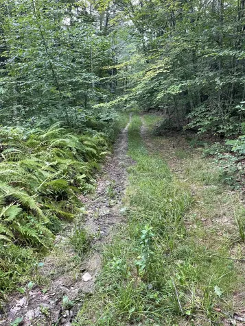 Lot 90 Mine Ledge Road Surry NH 03431