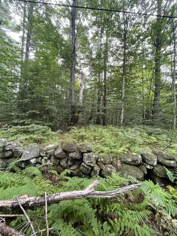 Lot 90 Mine Ledge Road Surry NH 03431