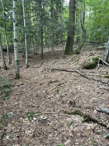 Lot 90 Mine Ledge Road Surry NH 03431