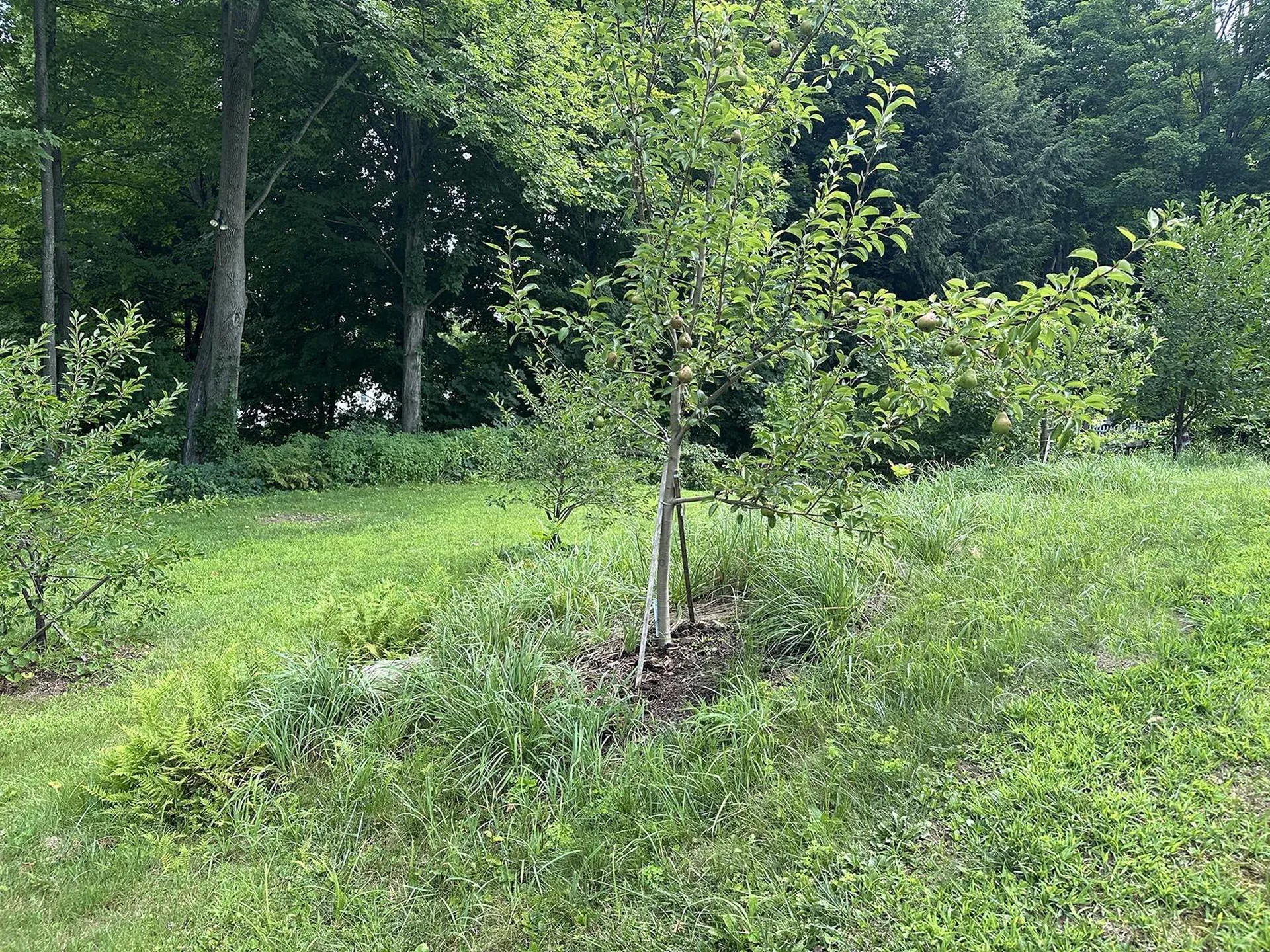 10 Hawthorne Street Plymouth NH 03264