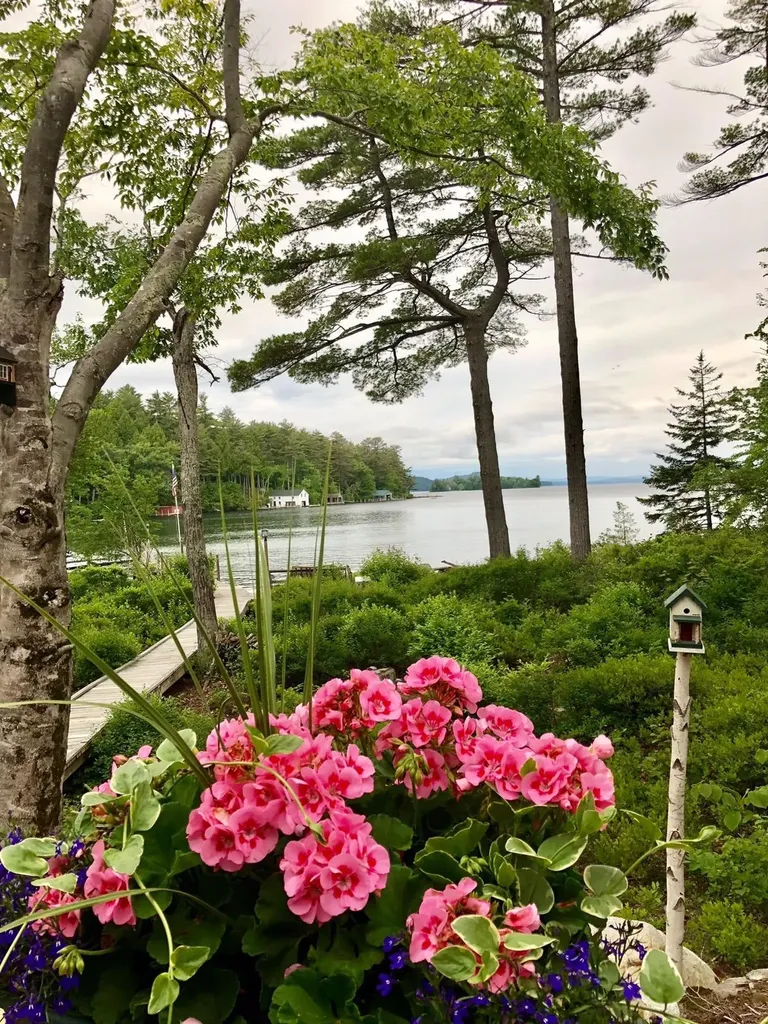 6 Melody Island Wolfeboro NH 03894
