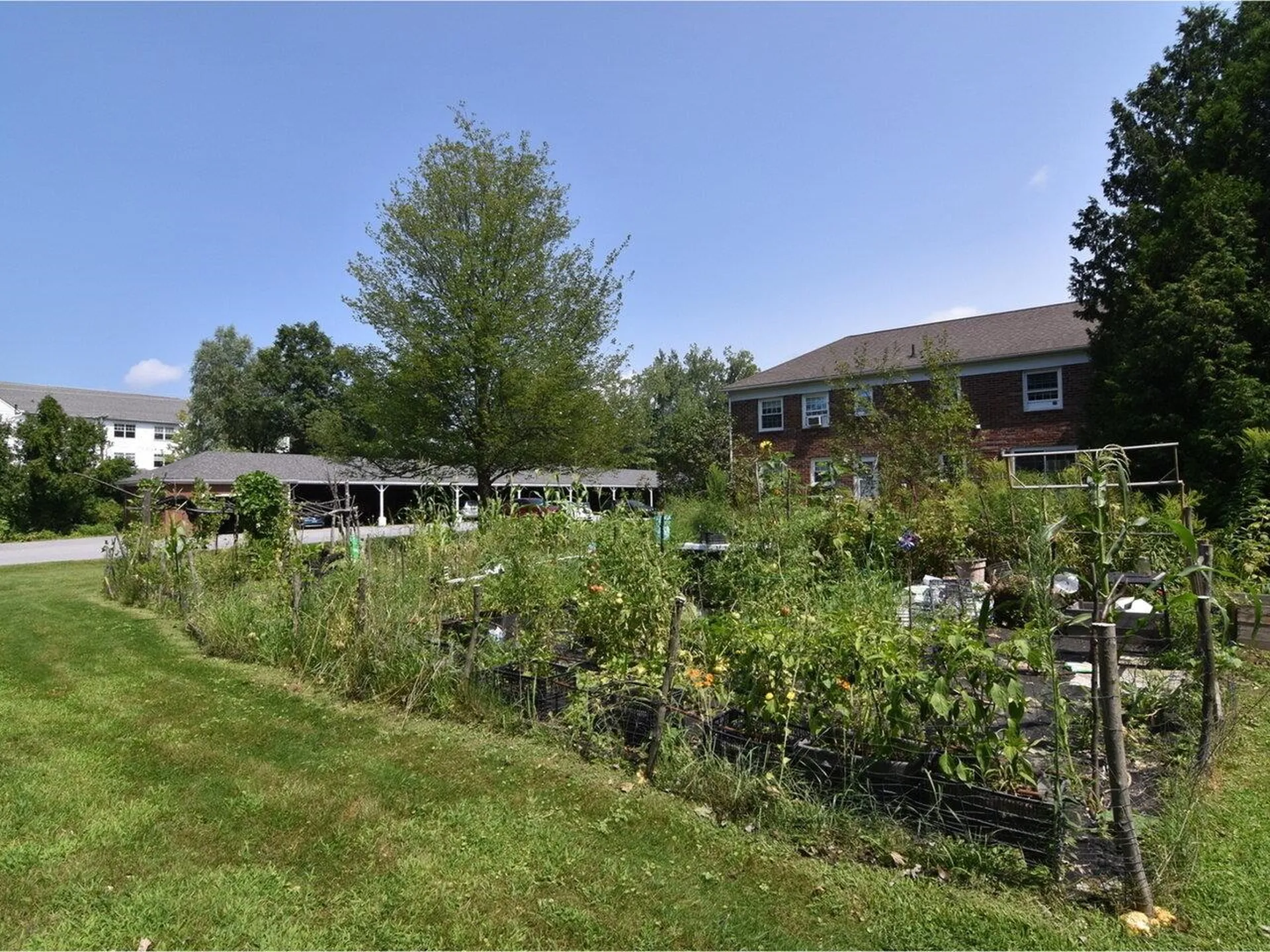 425 Dorset Street South Burlington VT 05403
