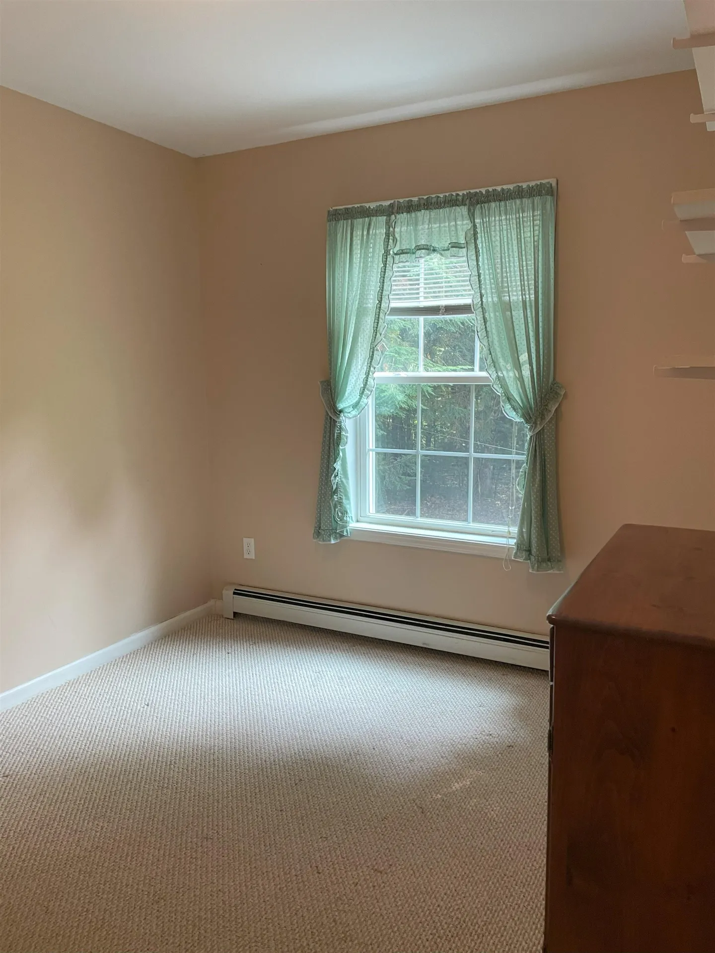 4 Sunnyview Drive Ossipee NH 03864-7186