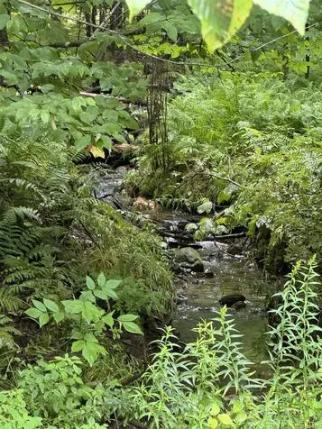 00 Elmore Mountain Road Elmore VT 05661