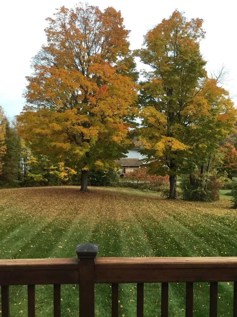 244 Eastern Avenue Barton VT 05822