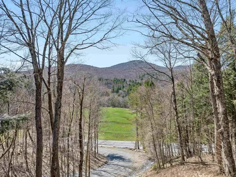 115 Spruce Hollow Stowe VT 05672