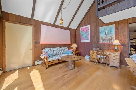 115 Spruce Hollow Stowe VT 05672