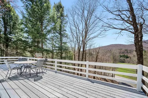 115 Spruce Hollow Stowe VT 05672