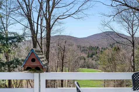 115 Spruce Hollow Stowe VT 05672