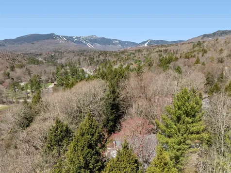 115 Spruce Hollow Stowe VT 05672
