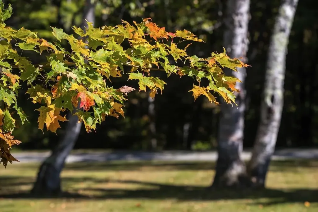 24 Vt Route 11 Landgrove VT 05148