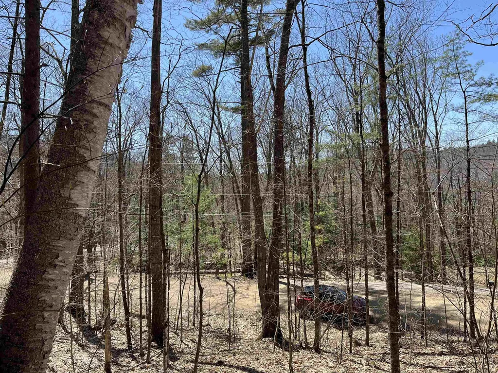 5-16-19 Boulder Drive Campton NH 03223
