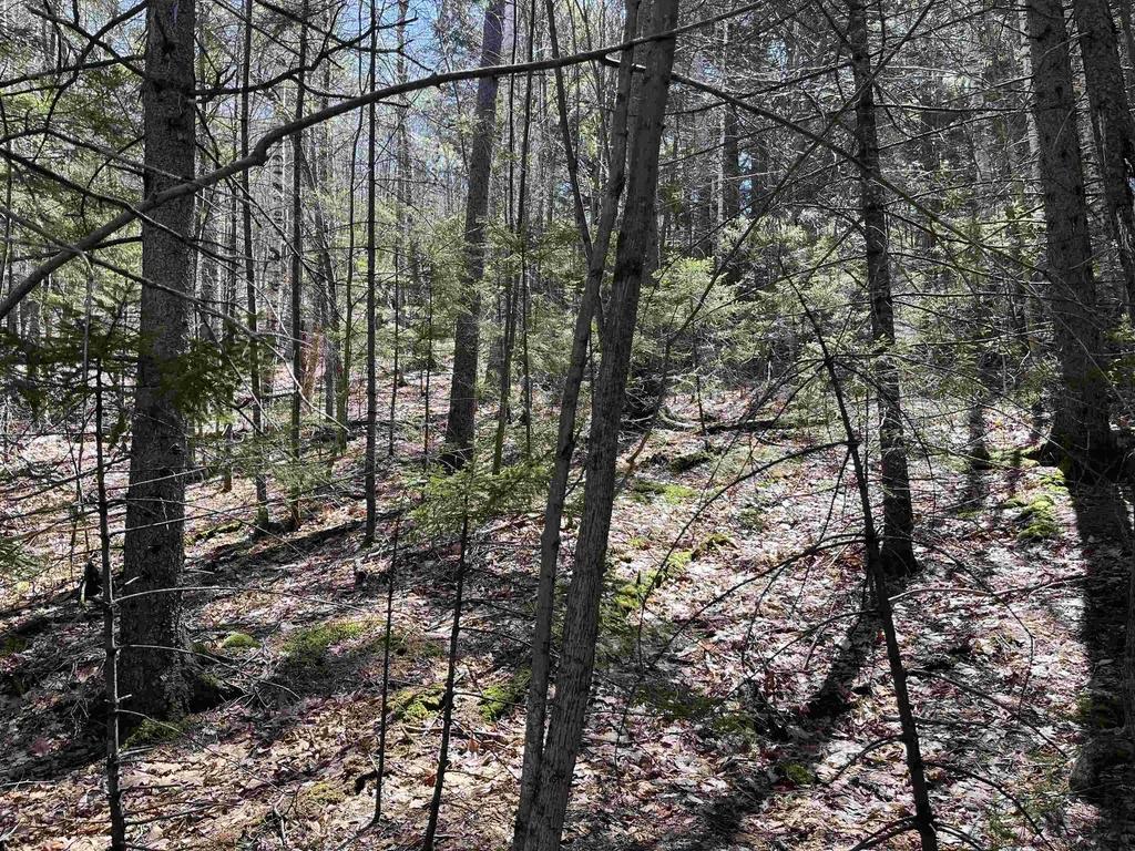 5-16-19 Boulder Drive Campton NH 03223