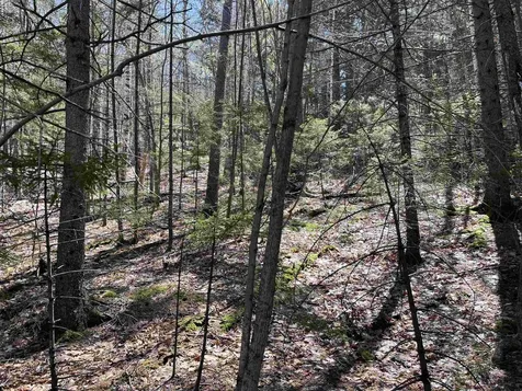 5-16-19 Boulder Drive Campton NH 03223