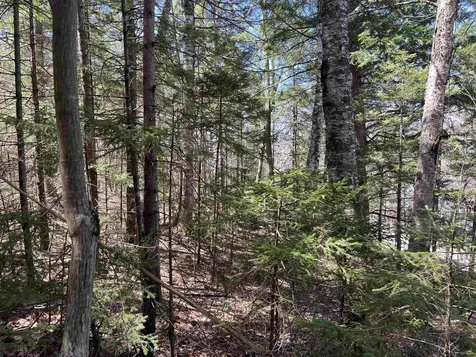 5-16-19 Boulder Drive Campton NH 03223