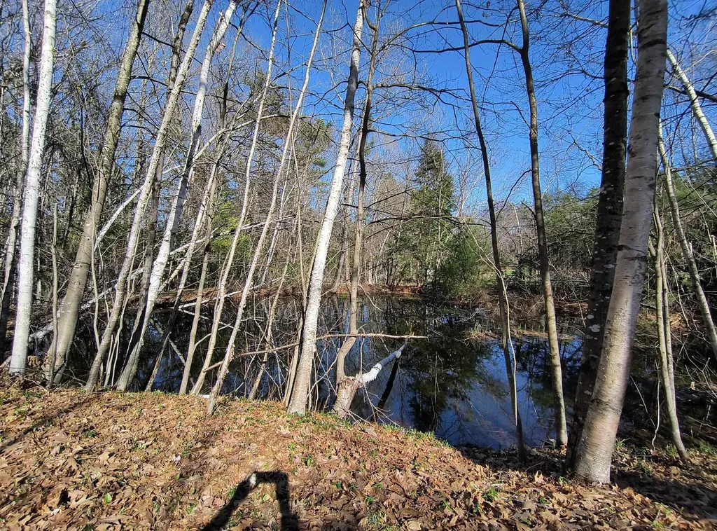 485 Royalston Road Fitzwilliam NH 03447