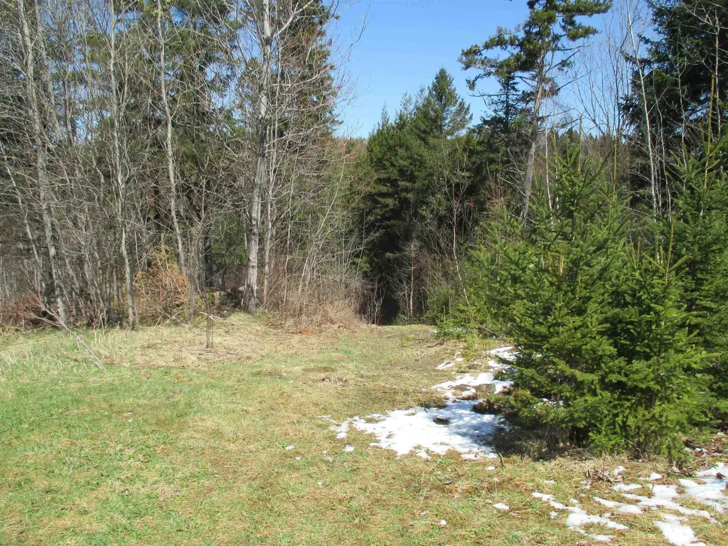 645 Evansville Road Brownington VT 05860