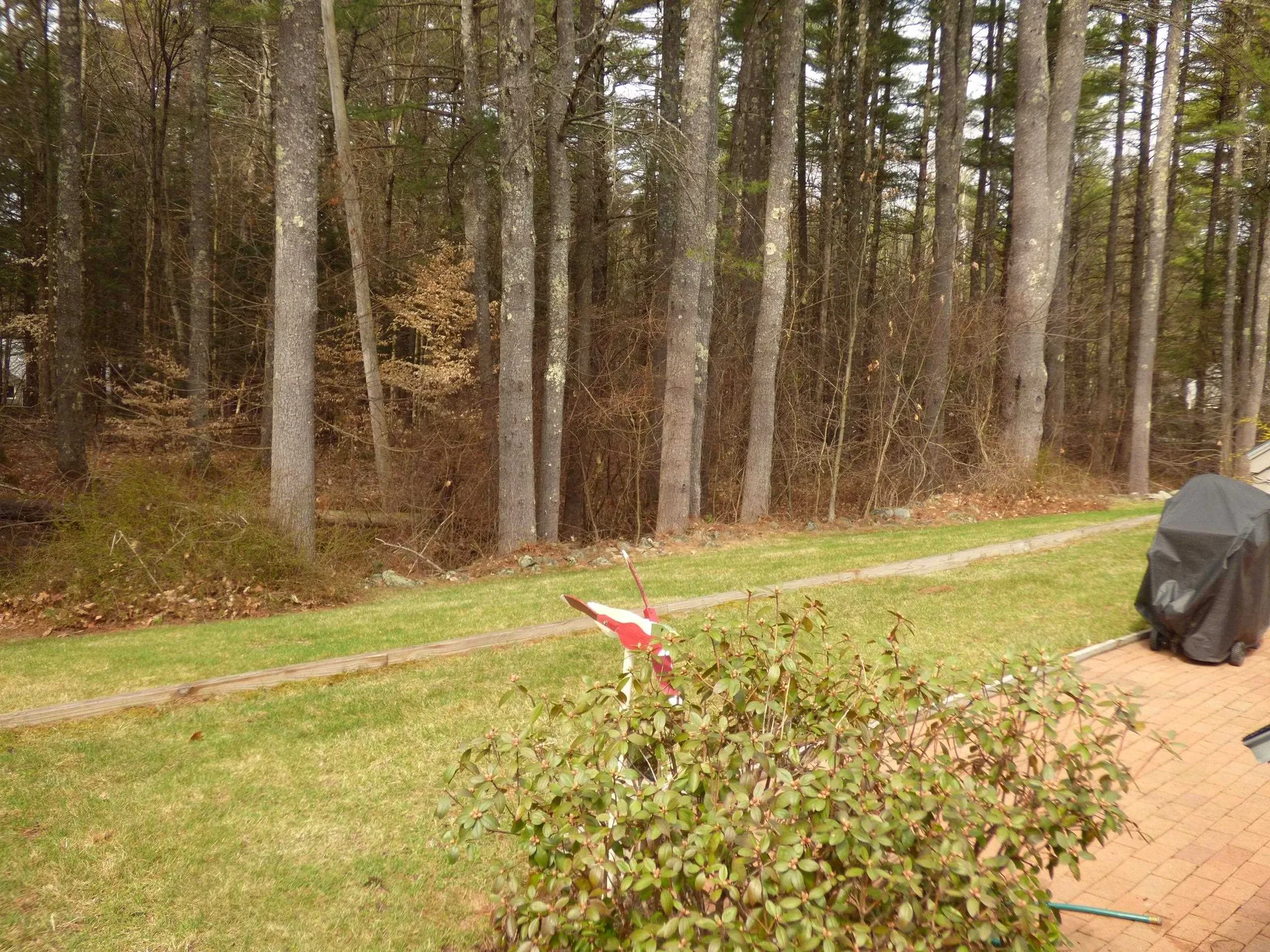 9 Wolfeboro Commons Wolfeboro NH 03894