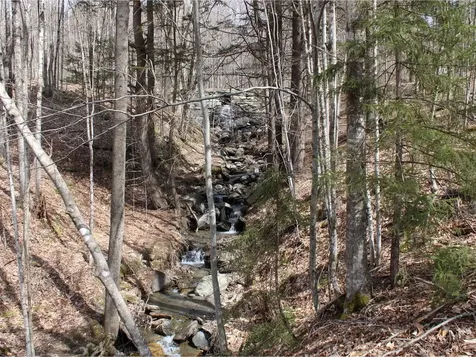 1953 Dowsville Road Duxbury VT 05660