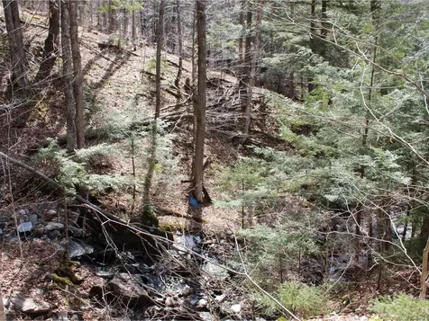 1953 Dowsville Road Duxbury VT 05660