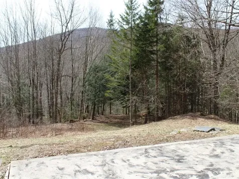 1953 Dowsville Road Duxbury VT 05660