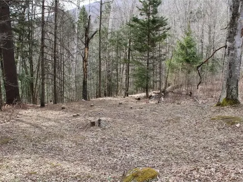 1953 Dowsville Road Duxbury VT 05660