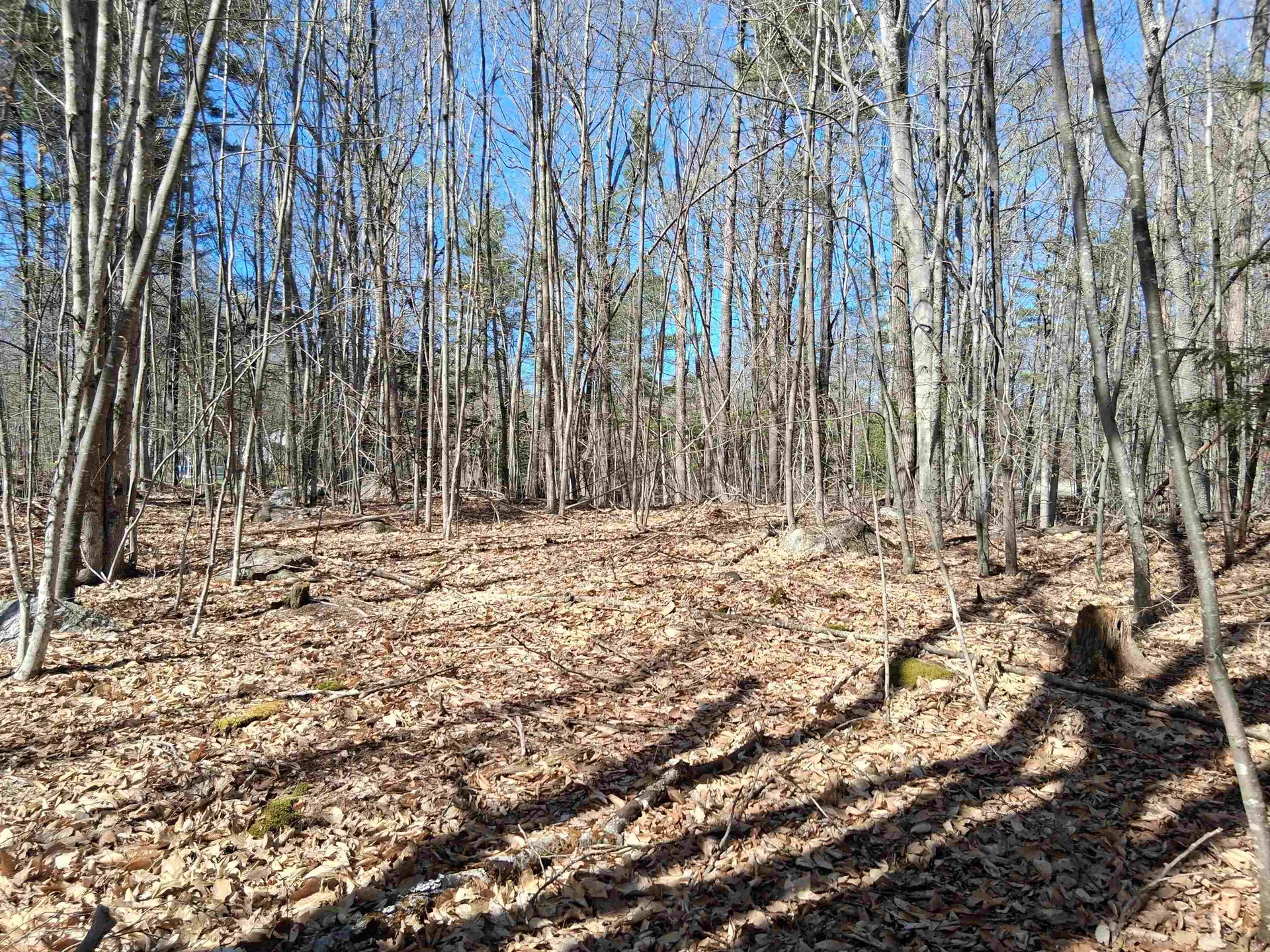 Lot 1-17 Silver Street Middleton NH 03887