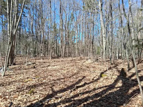 Lot 1-17 Silver Street Middleton NH 03887