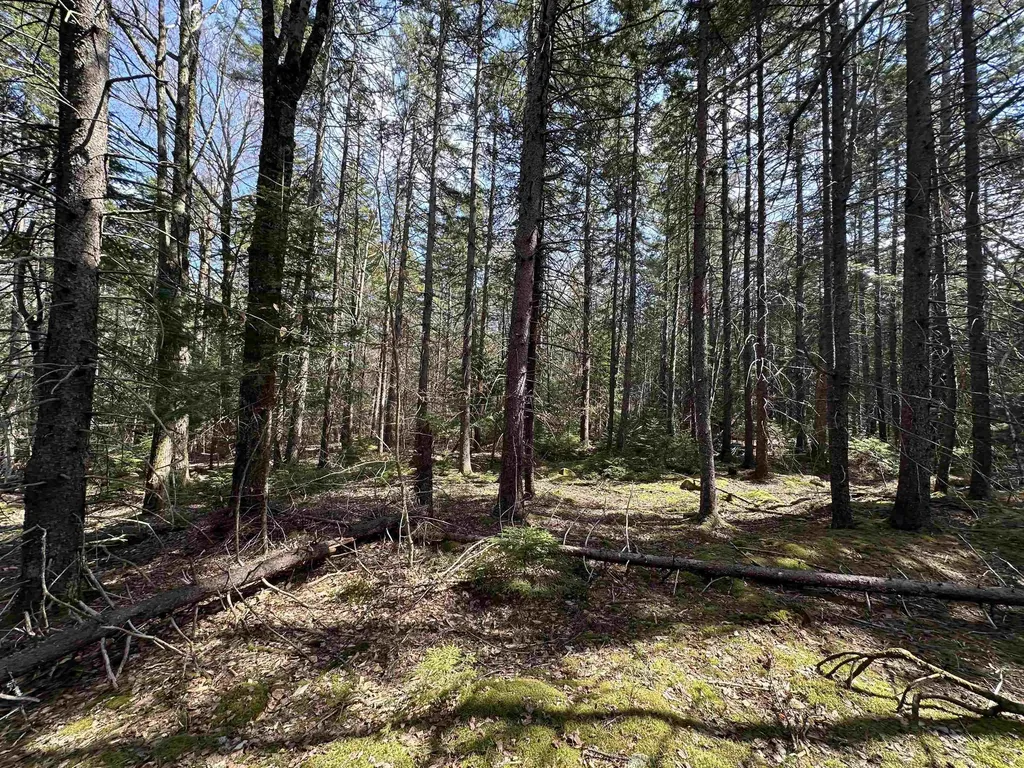 Lot 6 Sargent Road New London NH 03257