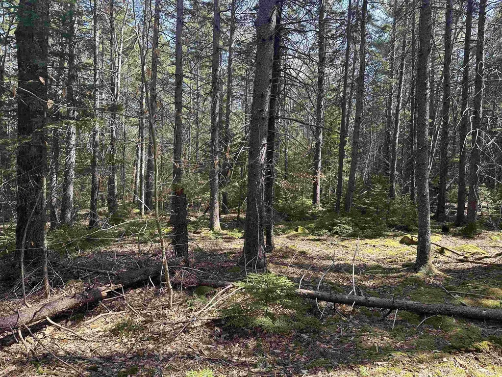 Lot 6 Sargent Road New London NH 03257
