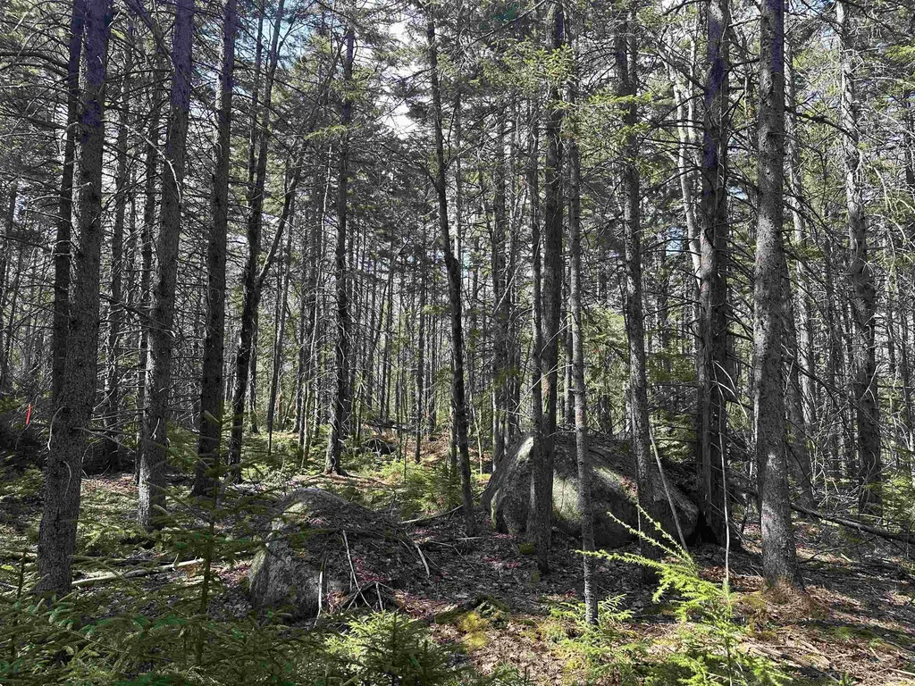 Lot 6 Sargent Road New London NH 03257